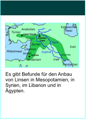 Es gibt Befunde fr den Anbau von Linsen in Mesopotamien, in Syrien, im Libanon und in gypten.